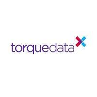 torque data logo image