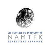 namtek consulting services logo image