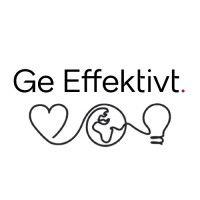 ge effektivt logo image