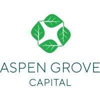 aspen grove capital llc logo image