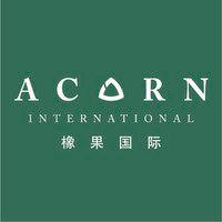 acorn international logo image