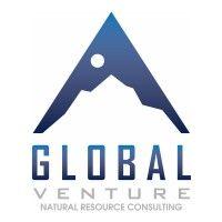 global venture logo image