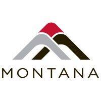 montana consulting group / groupe conseil montana logo image