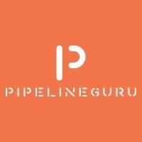 pipelineguru lead management solutions (pty) ltd logo image