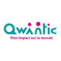 qwantic logo image