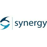 synergy global consulting ltd logo image