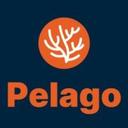 logo of Pelago