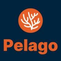 pelago logo image