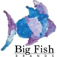 big fish brands logo image