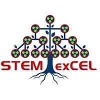 stem excel logo image