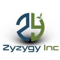 zyzygy inc