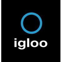 igloo media logo image