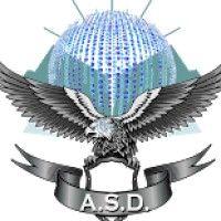 asd cyber security logo image