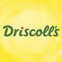 driscoll's uk logo image