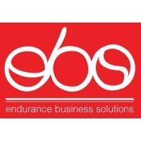 endurance business solutions logo image