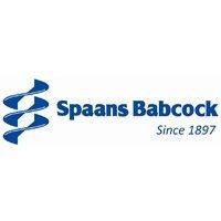 spaans babcock bv logo image