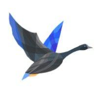 blue goose partners logo image