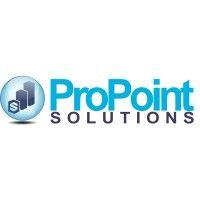 propoint solutions logo image