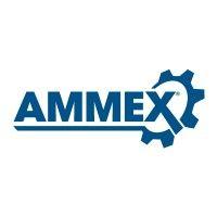 ammex corporation logo image