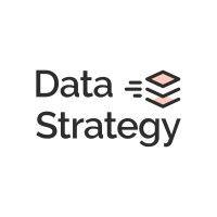 data strategy logo image