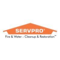 servpro logo image