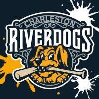 charleston riverdogs logo image