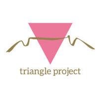 triangle project logo image