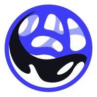 orca cognitive solutions logo image