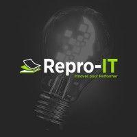 repro-it - groupe it & you ©️ logo image