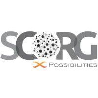 scorg international consulting pvt. ltd. logo image