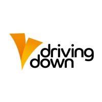 driving down ltd logo image