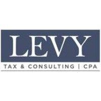 levy tax and consulting, llc logo image