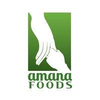 amana foods international logo image