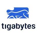 logo of Tigabytes Cl