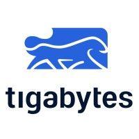 tigabytes_cl logo image