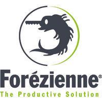 forezienne mfls logo image