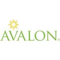 avalon consulting group logo image