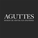 logo of Aguttes Auction House