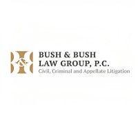 bush and bush law group logo image