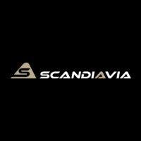 scandiavia logo image