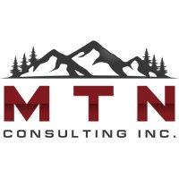 mtn consulting, inc. logo image