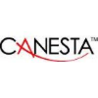 canesta logo image