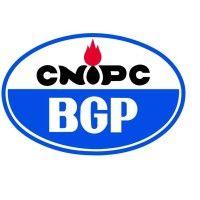 bgp logo image