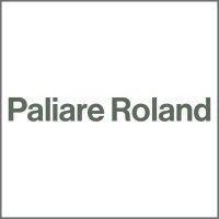 paliare roland rosenberg rothstein llp logo image