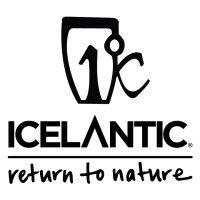 icelantic skis logo image