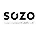 logo of Sozo Ltd