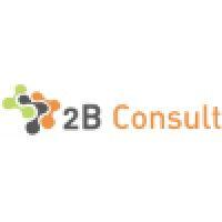 2bconsult logo image