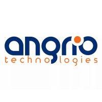 angrio technologies logo image