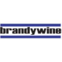 brandywine technical partners logo image