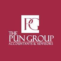 the pun group, llp logo image